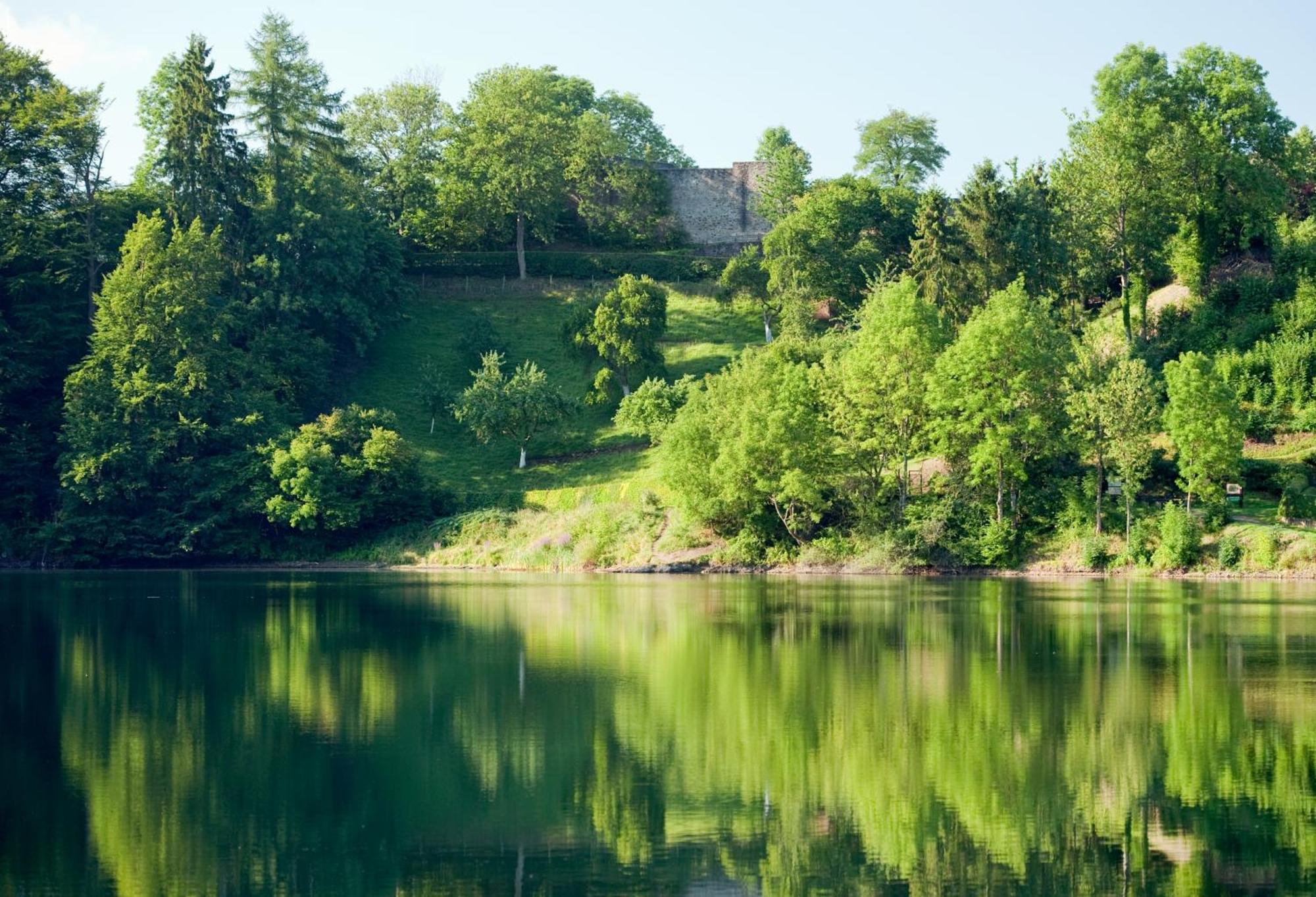 Ferienhaus Am Sauerbrunnen ダウン エクステリア 写真